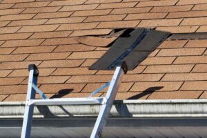 Roof Repair Nocatee & Fruit Cove