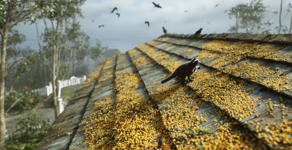 Roof Problems in Green Cove Springs & Fernandina Beach