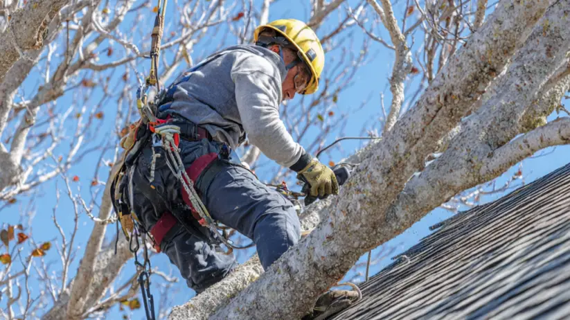 Trusted Roof Preparation Expert in Jacksonville & St. Marys, FL